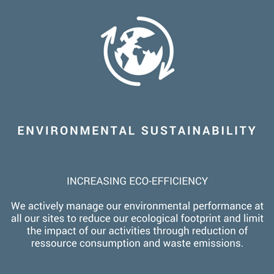 environmental-sustainability-infographie
