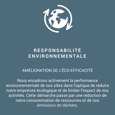 environmental-sustainability-infographie