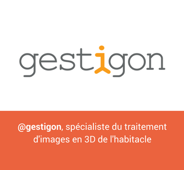 Gestigon