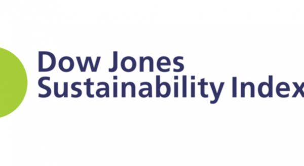 Dow Jones sustainability index logo