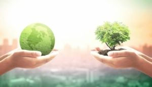 Sustainability and carbon neutrality