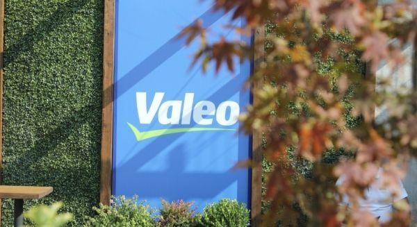 Company Information